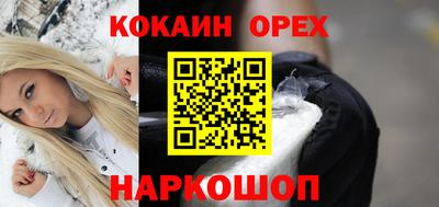 крисы Кулебаки