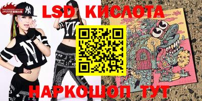 крисы Кулебаки