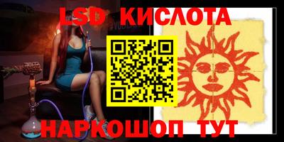 крисы Кулебаки