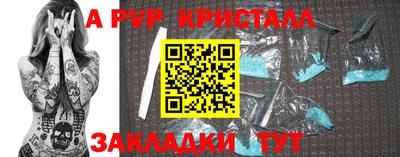 крисы Кулебаки
