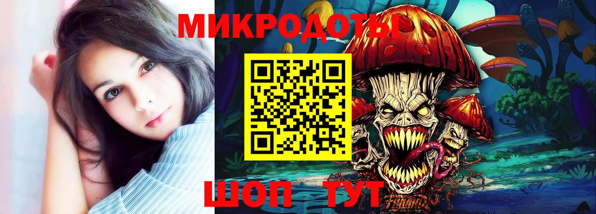 Псилоцибиновые грибы мицелий Чита